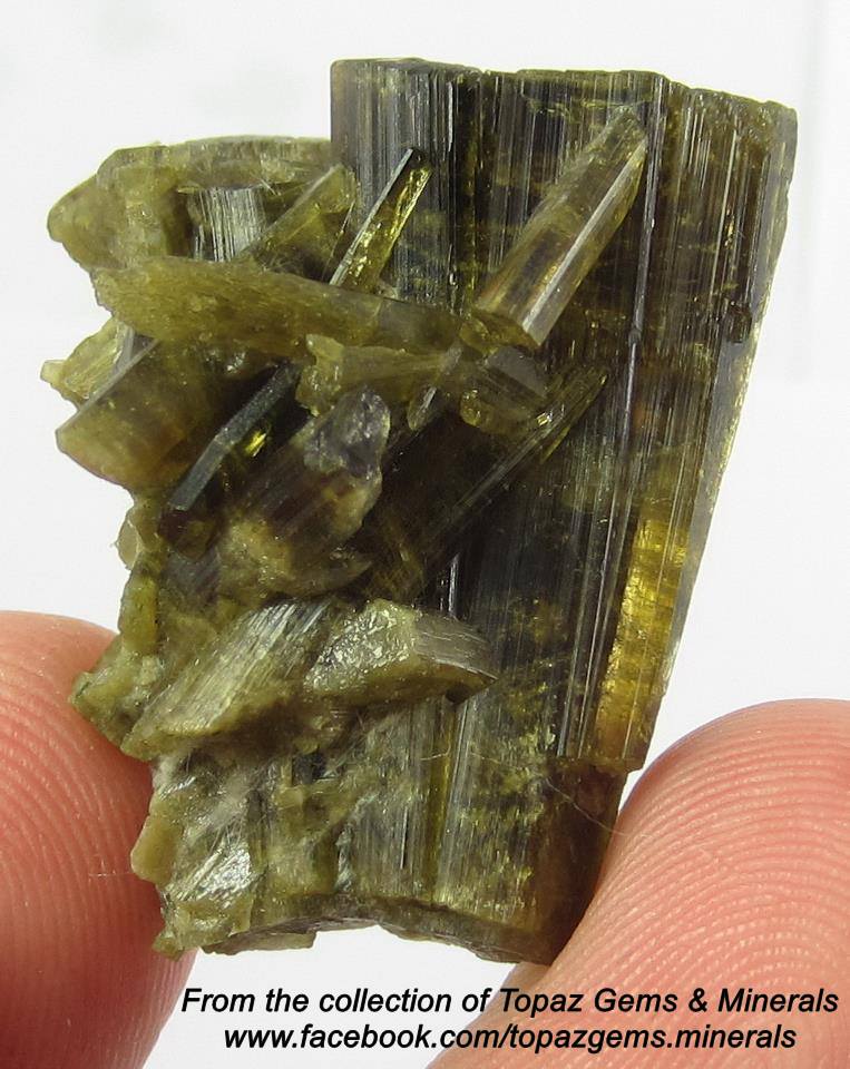 אפידוט באיכות גבוהה. אפשר לראות את דמיונה הרב לטורמלין ירוקה. מהאוסף של "טופז ג'מס אנד מינרלס" מתאילנד.
From the collection of Topaz Gems & Minerals