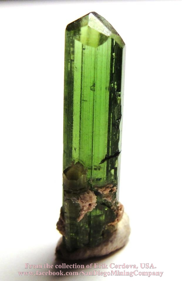 מוט טורמלין ירוקה באיכות גבוהה. פריט של האספן אריק קורדובה מארה"ב. From the collection of Erik Cordova, USA