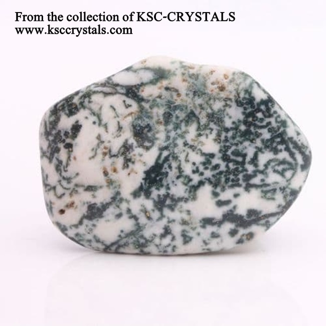 חלקו של אגת-עץ. 
מהאוסף של החנות From the collection of KSC-CRYSTALS
www.ksccrystals.com