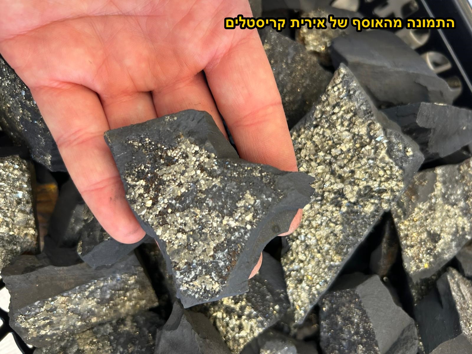 גושים של פיריט עם שונגית. מהאוסף של "אירית קריסטלים" www.iritltd.com