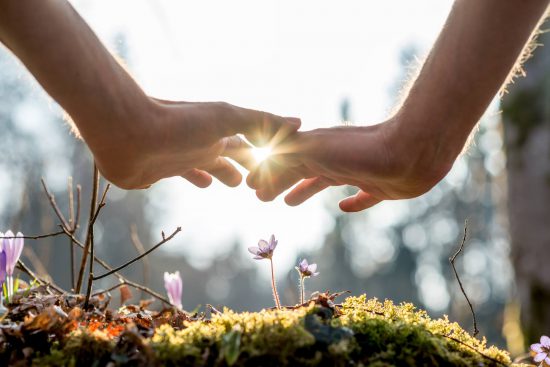 Close up Bare Hand of a Man Covering Small Flowers at the Garden with Sunlight Between Fingers.